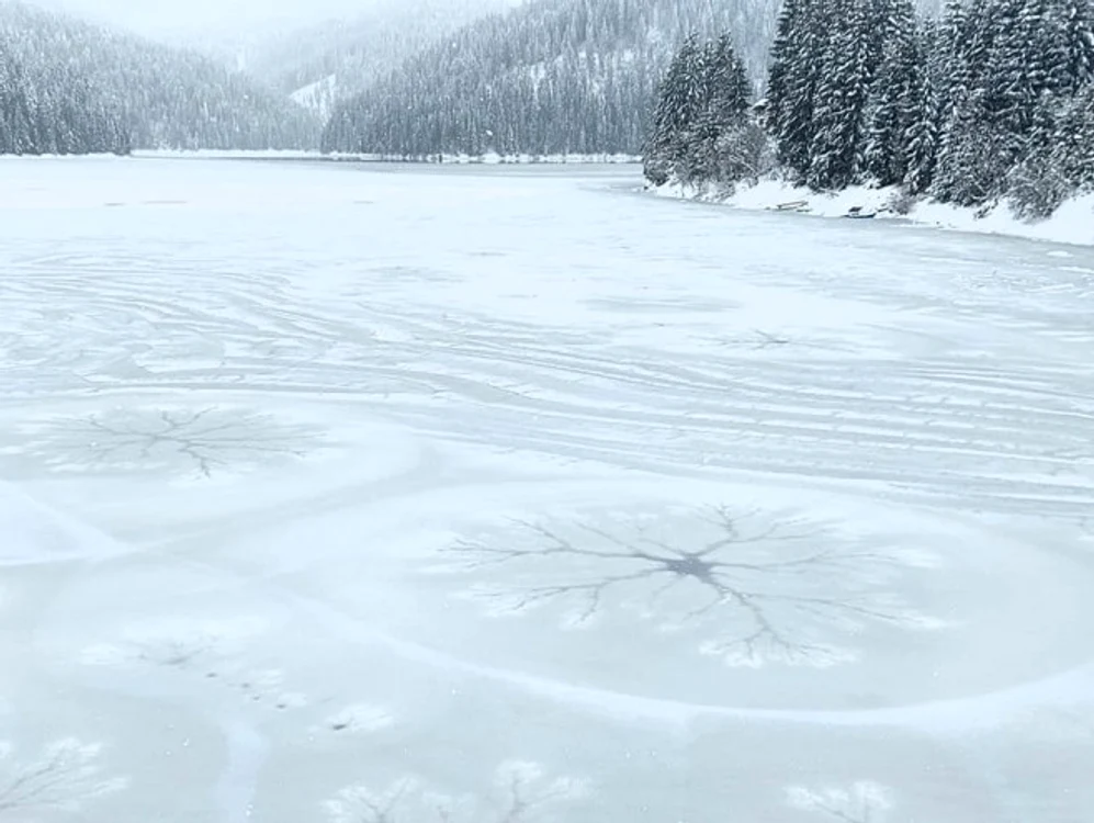 Fenomen rar pe Lacul Beliș. Foto: Raul Ghiran, președintele Rescue Transilvania