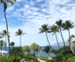 Raluca Lazarut Horatiu Boeriu vacanta Hawaii (9) jpeg