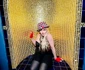 6 madonna 12 jpg jpeg
