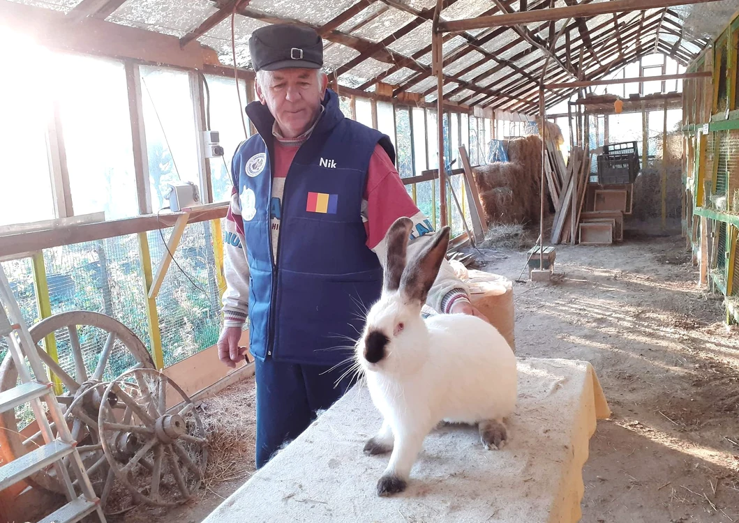 Crescătorul de iepuri și un exemplar din rasa Uriaș de Transilvania FOTO Nicu Țăran