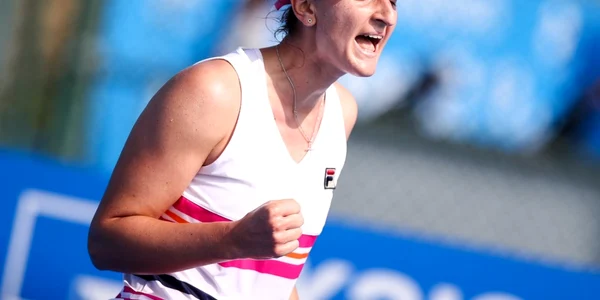 Begu