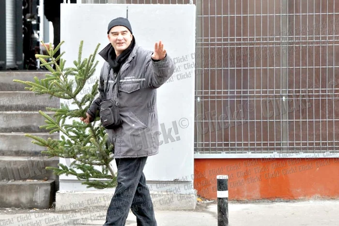 Brazii nevânduţi  au fost duşi la  Buzău ca să fie  băgaţi în sobe  (Fotografii: Sever Gheorghe )