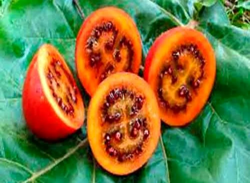 Strange fruits and vegetables jpg jpeg