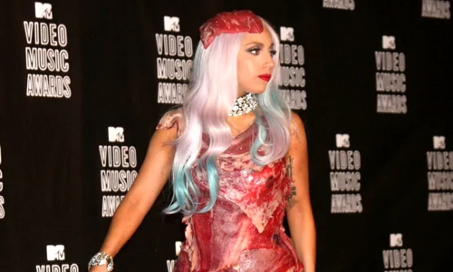 lady gaga carne jpeg