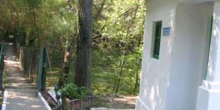 Hoţii zburdă prin Grădina Zoologică din Slatina…
