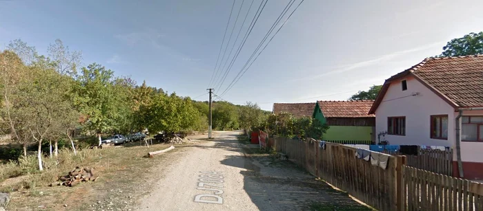 O parte din satul din Arad retrocedat ilegal FOTO Google Maps