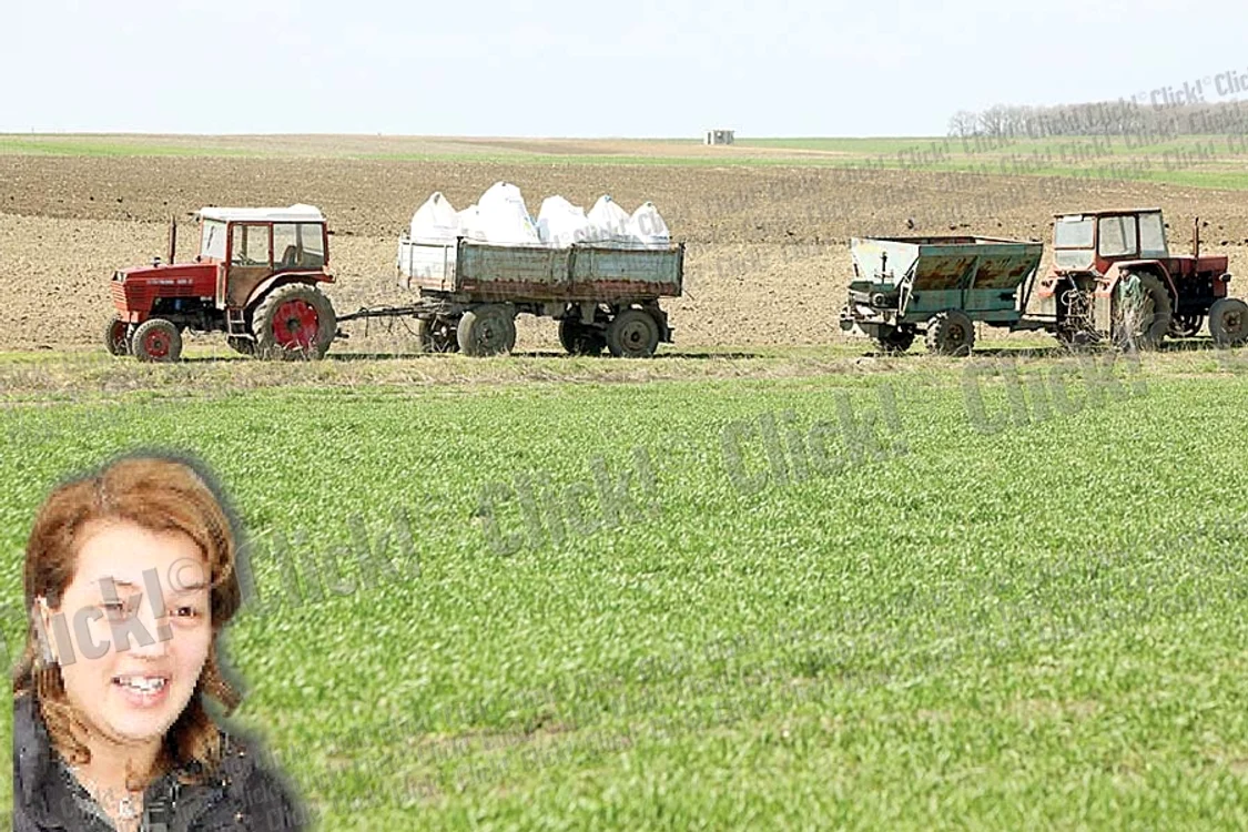 Nea’ Mitică ne-a  condus pe  ogorul prezidenţial (FOTOGRAFII: SEVER GHEORGHE)