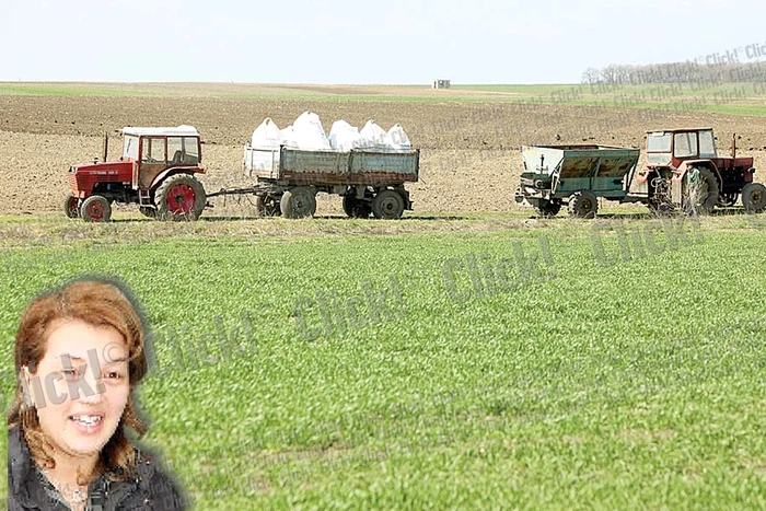 Nea’ Mitică ne-a condus pe ogorul prezidenţial (FOTOGRAFII: SEVER GHEORGHE)