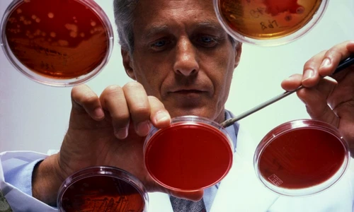 1 68386 original jpg jpeg