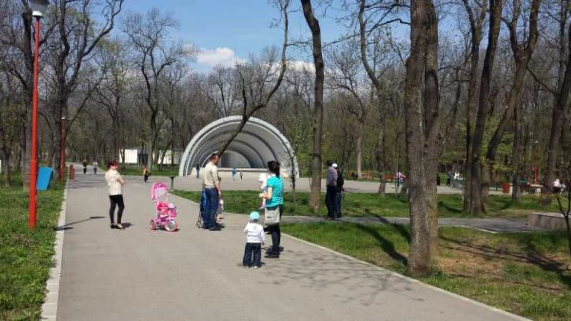 severineii au iesit la plimbare in pădurea crihala FOTO Corina Macavei 