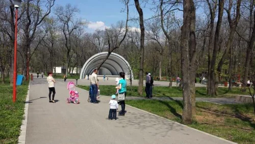 severineii au iesit la plimbare in pădurea crihala FOTO Corina Macavei