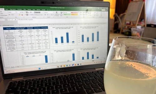 analiza economica  Foto FB Iancu Guda jpg