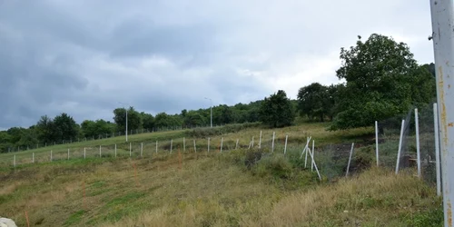 partie bistrita alunecari teren