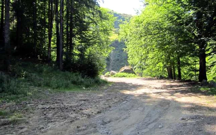 Întregul tronson de drum măsoară 3 km.