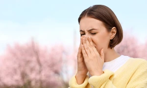 stranut shutterstock 2623292091 jpg