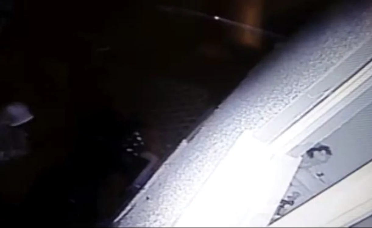 Imaginile surprinse de camerele de supraveghere au șocat-o pe femeiefoto: captură video
