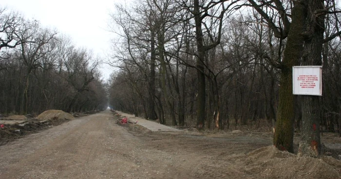 Crângul Petreşti a pierdut finanţarea europeană  FOTO: Ştefan Borcea