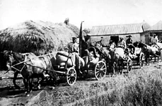 Holodomor-ul a dus la exterminarea populației din Ucraina, un grânar al planetei (foto: Wikimedia Commons)