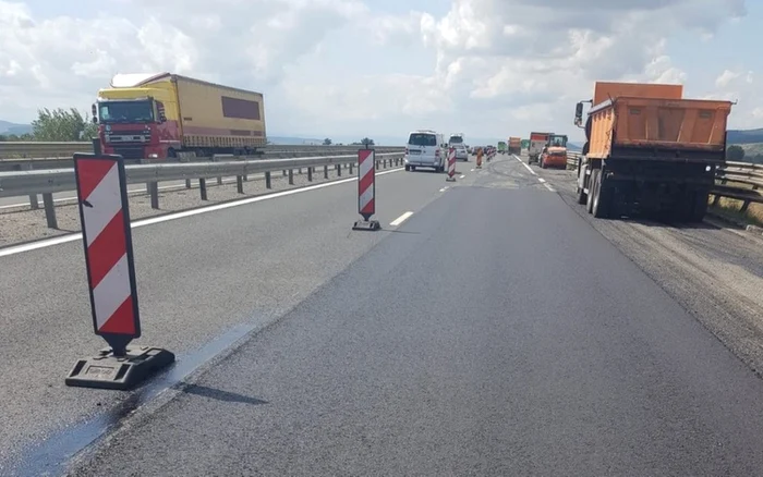 Foto: DRDP Timişoara.