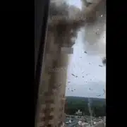 moscova gif gif