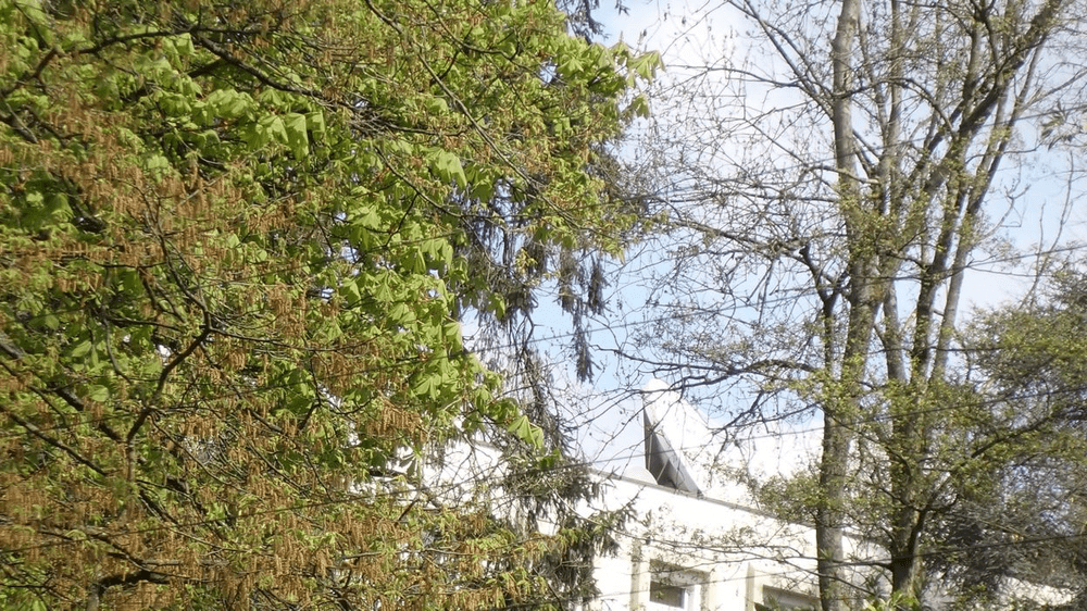 Anchetă jurnalistică. Tot mai multe antene pe misiunile diplomatice ale Rusiei din Europa, inclusiv în România
