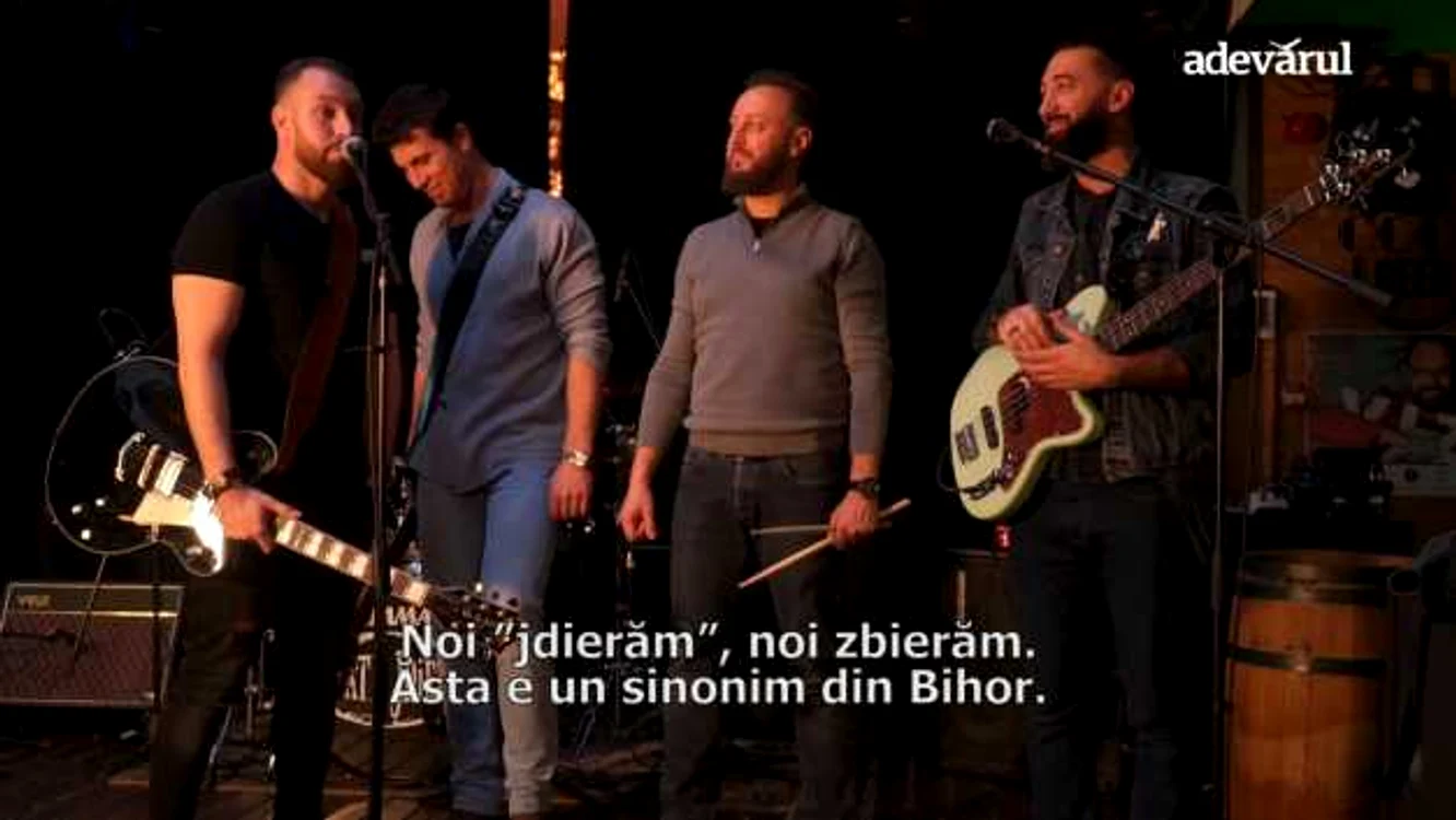 Fratii Jdieri 2