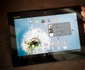 xperia tablet