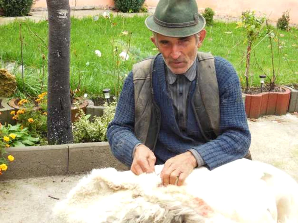 alba cojocar apuseni