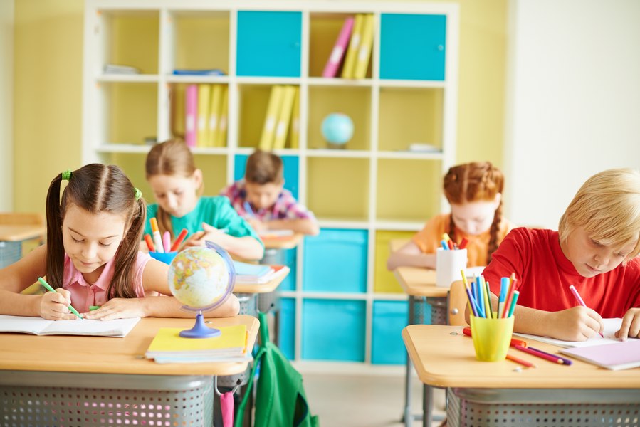 Subiectele de la Evaluarea Națională 2025: „Buburuza fără buline” și importanța prieteniei