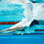 Inot   Shutterstock jpg