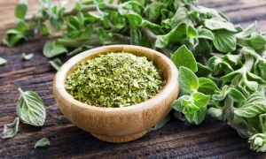 oregano webp