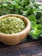 oregano webp