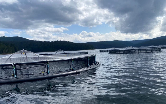 Vivierele amenajate pe lac FOTO Adevărul