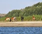 Insula Cailor, o nouă atracție turistică FOTO: Giv Boats