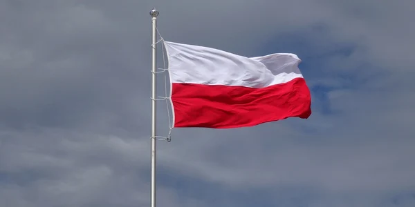 Steag Polonia Pixabay jpg