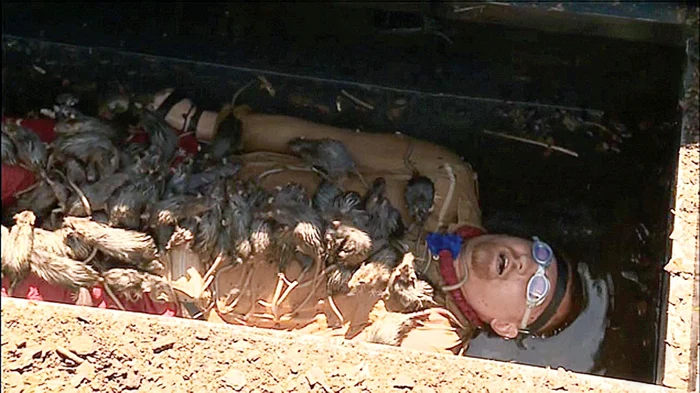 Martie 2015. Moroşanu era să  clacheze în  groapa cu şobolani