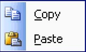 Prietenii furtului intelectual cîteva observaţii personale jpeg