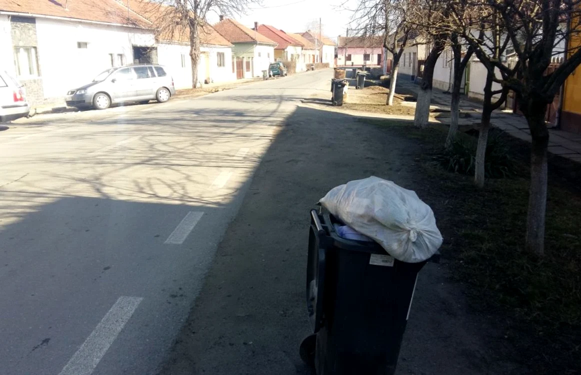 Tomberoanele din Făget, judeţul Timiş, nu au fost ridicat de două săptămâni FOTO Daniel Dancea
