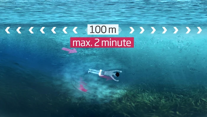 Animație cum acționează curenții rip / foto: Observator News