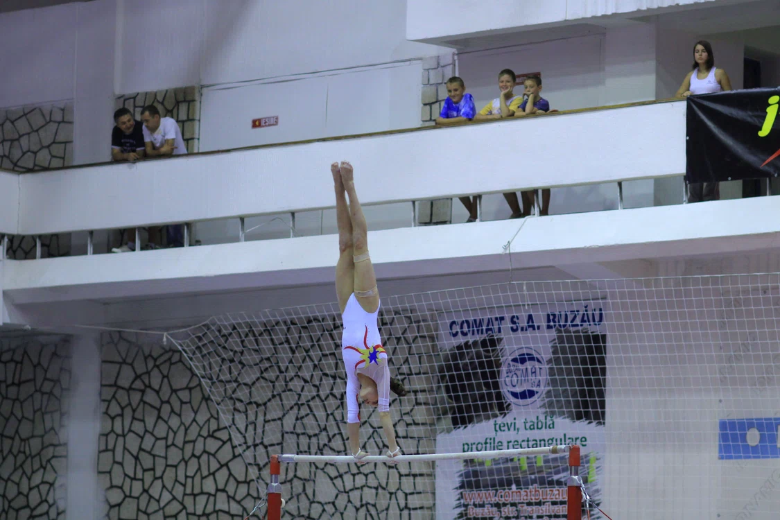 
    Ana Porgras  