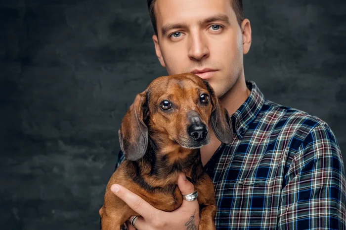 7 motive pentru care bărbații care iubesc câinii sunt partenerii perfecți.