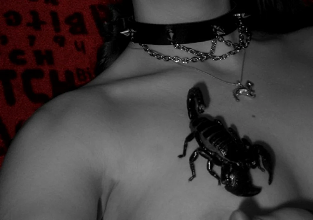Formicofilia se referă la persoanele stârnite sexual atunci când peste trup li se târăsc tot felul de insecteFOTO aragec.com