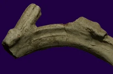 Reconstrucția mânerului vasului descoperit la Collet 