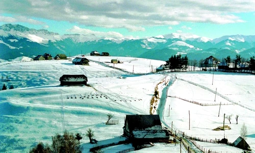 1 46835 original jpg jpeg