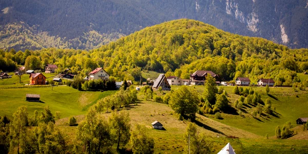 raluca  Centrul de Informare şi Promovare Turistică Dâmbovicioara jpg