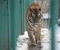 zoo sibiu 1