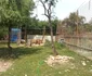 Animale ținute în cuști, în condiții necorespunzătoare FOTO: Facebook / Garda Națională de Mediu