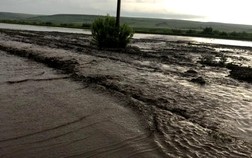 inundatii vaslui