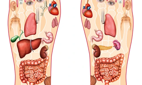 1 shutterstock 77136316 jpg jpeg