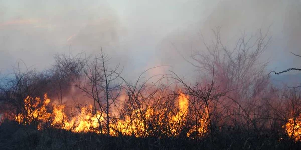 Incendiu DEVASTATOR în județul Satu Mare